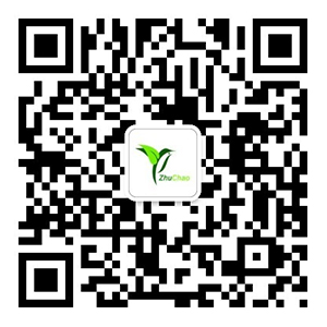 亚投app